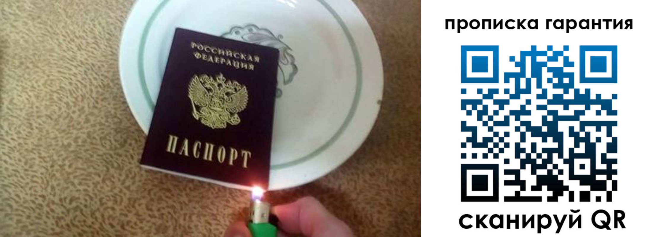 прописка гарантия в Оленегорске